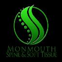 Monmouth Spine & Soft Tissue logo